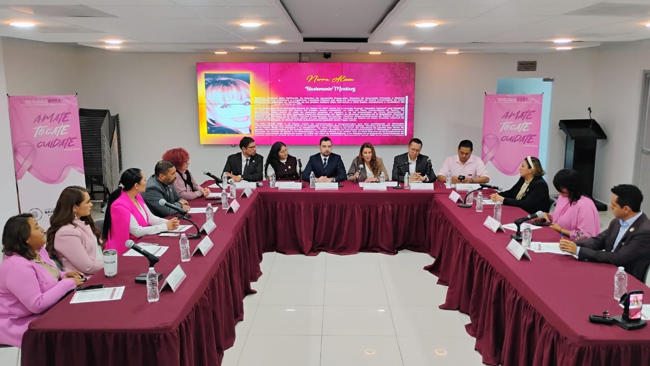 CONGRESISTAS DE LA BANCADA DE MORENA RECIBEN A EMBAJADORA DE PALESTINA ...